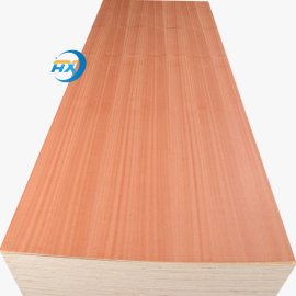 Sapele Plywood
