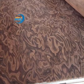 Recon Teak Plywood