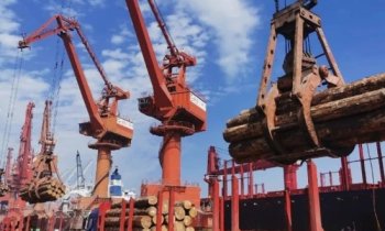 Penglai Port in January timber cargo throughput increased by 260% year on year.